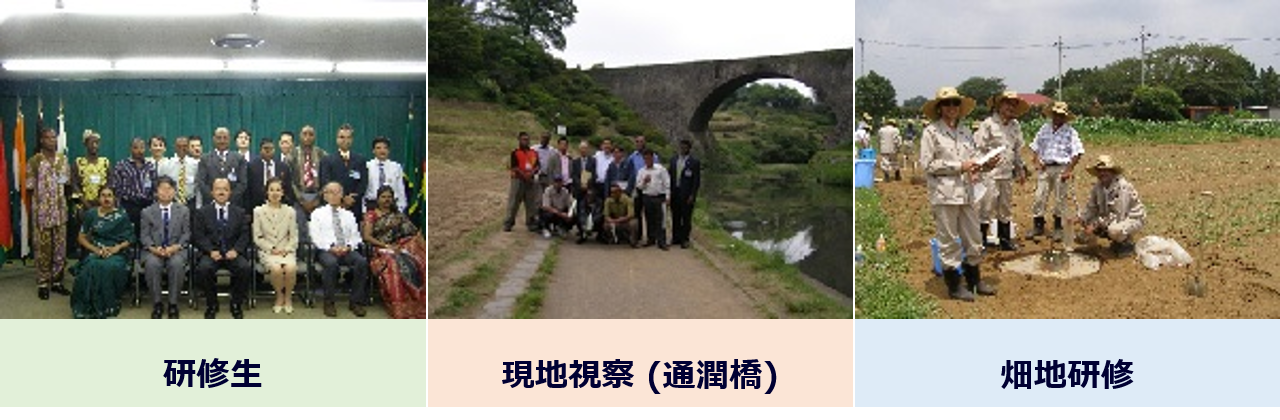 研修事業