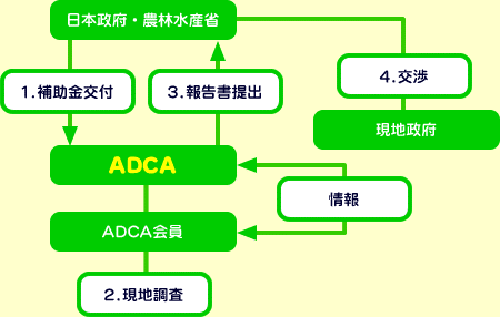 プロジェクトファインディング